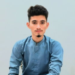 Muhammad Ahmed-Freelancer in PanoAkil,Pakistan