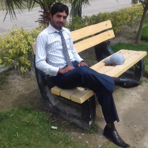 Faisal Arman-Freelancer in Chishtian,Pakistan