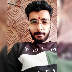 Praveen Meena-Freelancer in Bapawar,India
