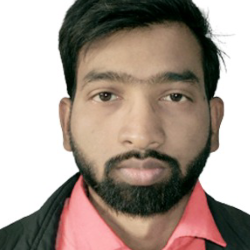 Govind Das-Freelancer in Lucknow,India