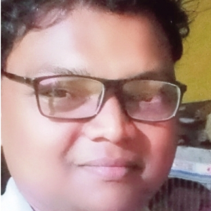 Purnananda Sandha-Freelancer in Kumbharkata,India