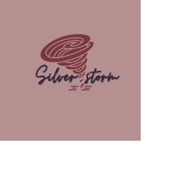 Silver Storm-Freelancer in Mardan,Pakistan