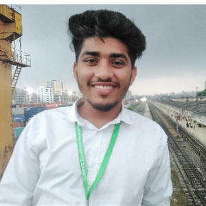 Julfikar Ali Sipon-Freelancer in Chittagong,Bangladesh