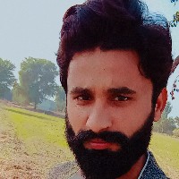 Ali Bin Sajjad-Freelancer in Sargodha,Pakistan