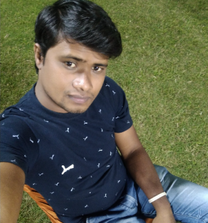 Satyapal Lende-Freelancer in Nagpur,India