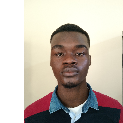 David Oladimeji-Freelancer in Abuja,Nigeria