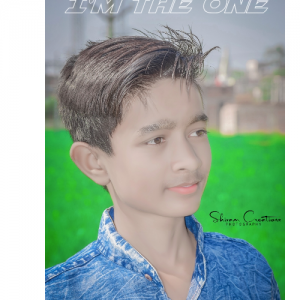 Krishna Kant-Freelancer in ,India