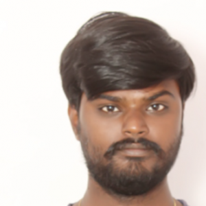 Gajula Raviteja-Freelancer in Vijayawada,India
