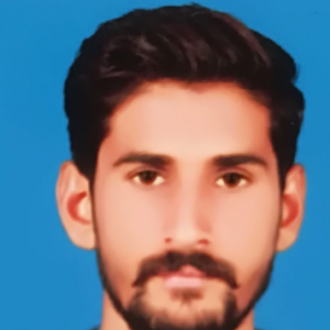 Nasir Shabir-Freelancer in Sargodha,Pakistan