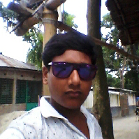 Robin Islam-Freelancer in ,Bangladesh