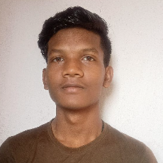 Ashim Sinduriya-Freelancer in Simdega,India