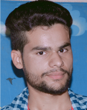 Ashish Vishwakarma-Freelancer in DEWAS,India