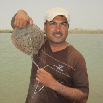 Asghar Rasool-Freelancer in Muscat,Oman