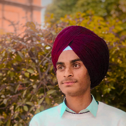 Harman Singh-Freelancer in AMRITSAR, PUNJAB,India