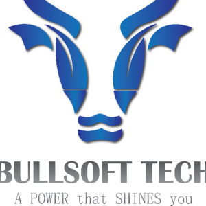 Bullsoft Technology-Freelancer in Delhi,India