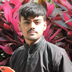 Aditya Pratap Singh-Freelancer in bhopal,India