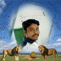 Nageswara Rao Paleti-Freelancer in Prakasam,India