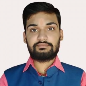 Anand Kumar Jha-Freelancer in Patna,India