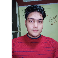 Vikas meena-Freelancer in Ghanghora Piparia,India