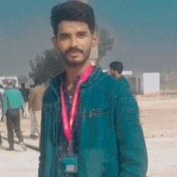 Muhammad Jahanzaib-Freelancer in Hyderabad,Pakistan