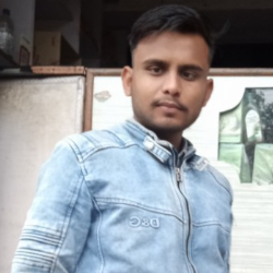 Abhinesh Thakur-Freelancer in Hosangabad,India