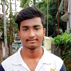 Subhadip Biswas-Freelancer in Kolkata,India