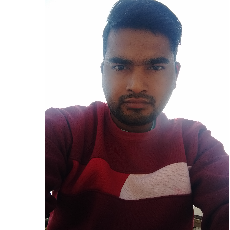 Vikash Kumar-Freelancer in Noida,India