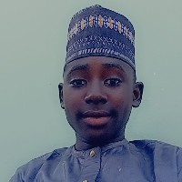Qasim Ismail-Freelancer in Maiduguri,Nigeria
