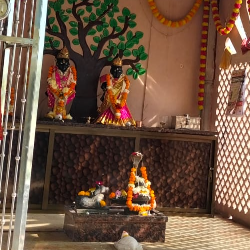 Akshita Somani-Freelancer in Amravati,India