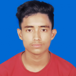 Ali Ahmad-Freelancer in Sylhet,Bangladesh