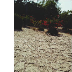 Ms Bhatti-Freelancer in karachi,Pakistan