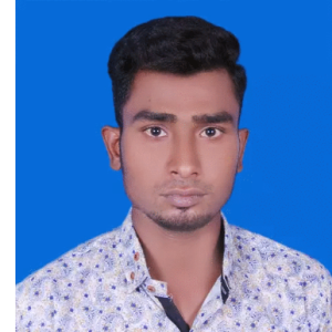 Nasir Hossain Baidul-Freelancer in Dhaka District,Bangladesh