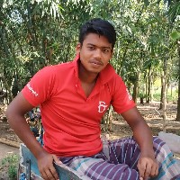 Md Rabiul Islam-Freelancer in dahaka,Bangladesh