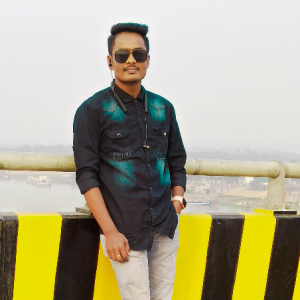Prince Shaharul-Freelancer in Dhaka,Bangladesh