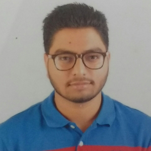 Akhilesh Samal-Freelancer in Pune,India