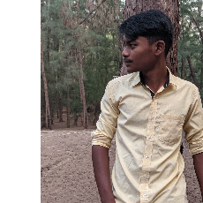 Hameem Smart-Freelancer in Sirkali,India