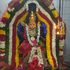 Cybertamila-Freelancer in Chennai,India