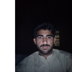 Ameerali Baloch-Freelancer in Jacobabad,Pakistan