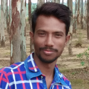 Rahul Rajak-Freelancer in Patna,India