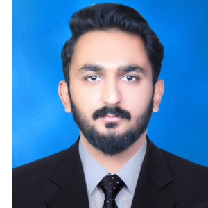 Ameer Hamza-Freelancer in Multan,Pakistan