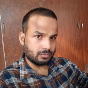 Neeraj Choudhary-Freelancer in Chandigarh,India