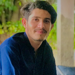 Zayn Ali-Freelancer in sargodha,Pakistan
