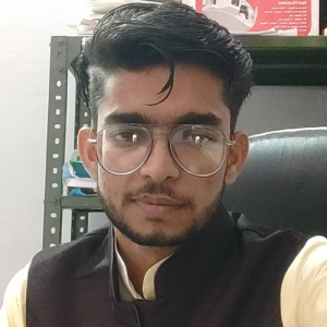 Mohd Ajmal Malik-Freelancer in PILIBHIT,India