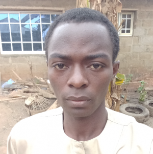 Akinlolu Akande-Freelancer in Ibadan,Nigeria