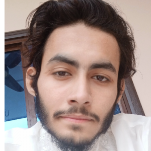 Saad Ullah-Freelancer in Kahror Pakka,Pakistan