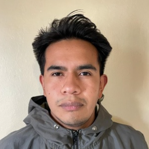 Luis Hernandez-Freelancer in Toluca,Mexico