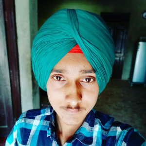 Karmveer Singh-Freelancer in Bathinda,India