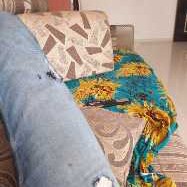 Nisha Patil-Freelancer in Nashik,India