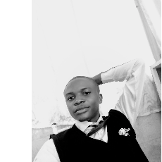 Vincent Edeh-Freelancer in Lagos,Nigeria