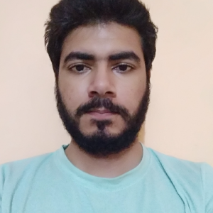 Manjeet Singh-Freelancer in NEW DELHI,India